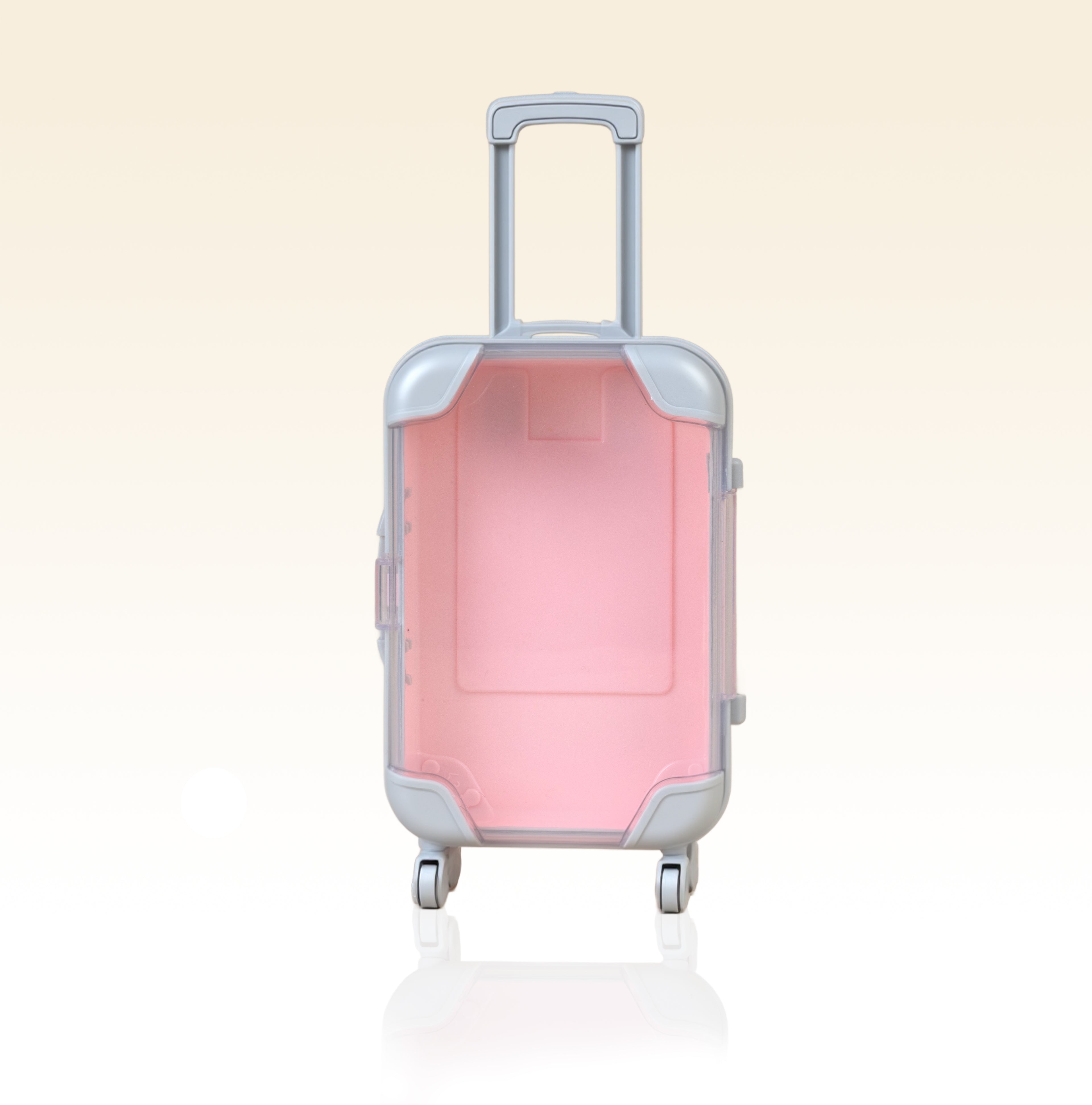 Taffeay Mini Eyelash Storage Case