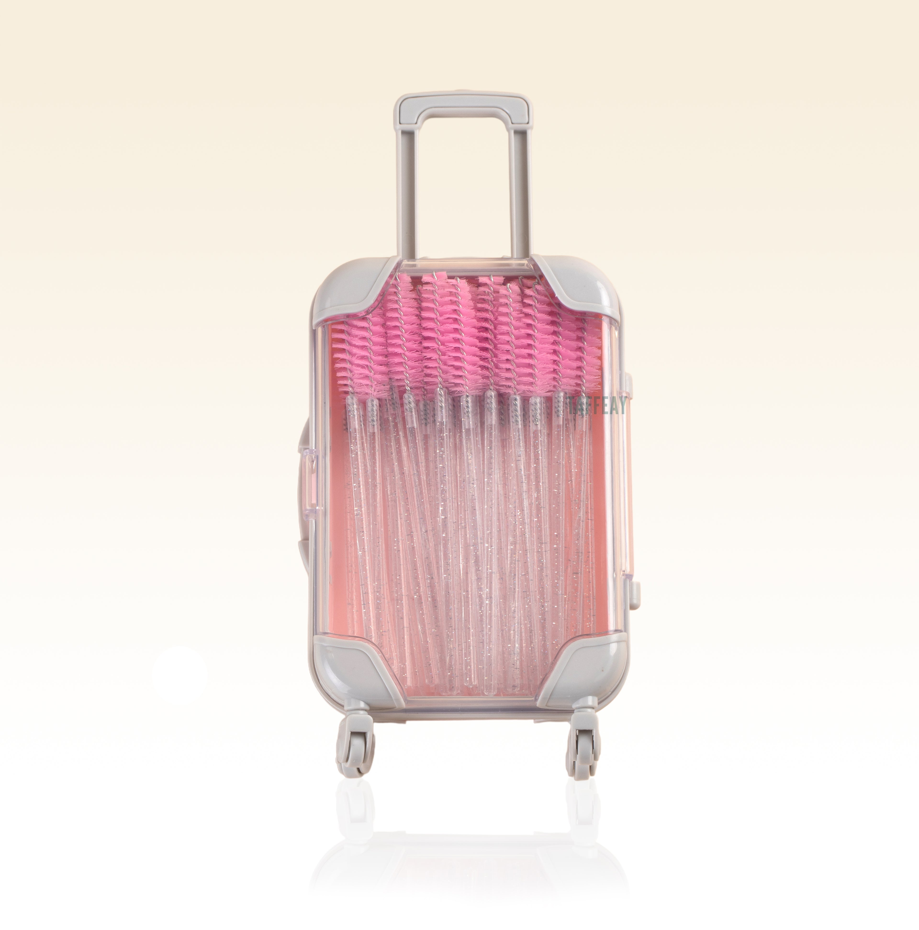 Taffeay Mini Eyelash Storage Case