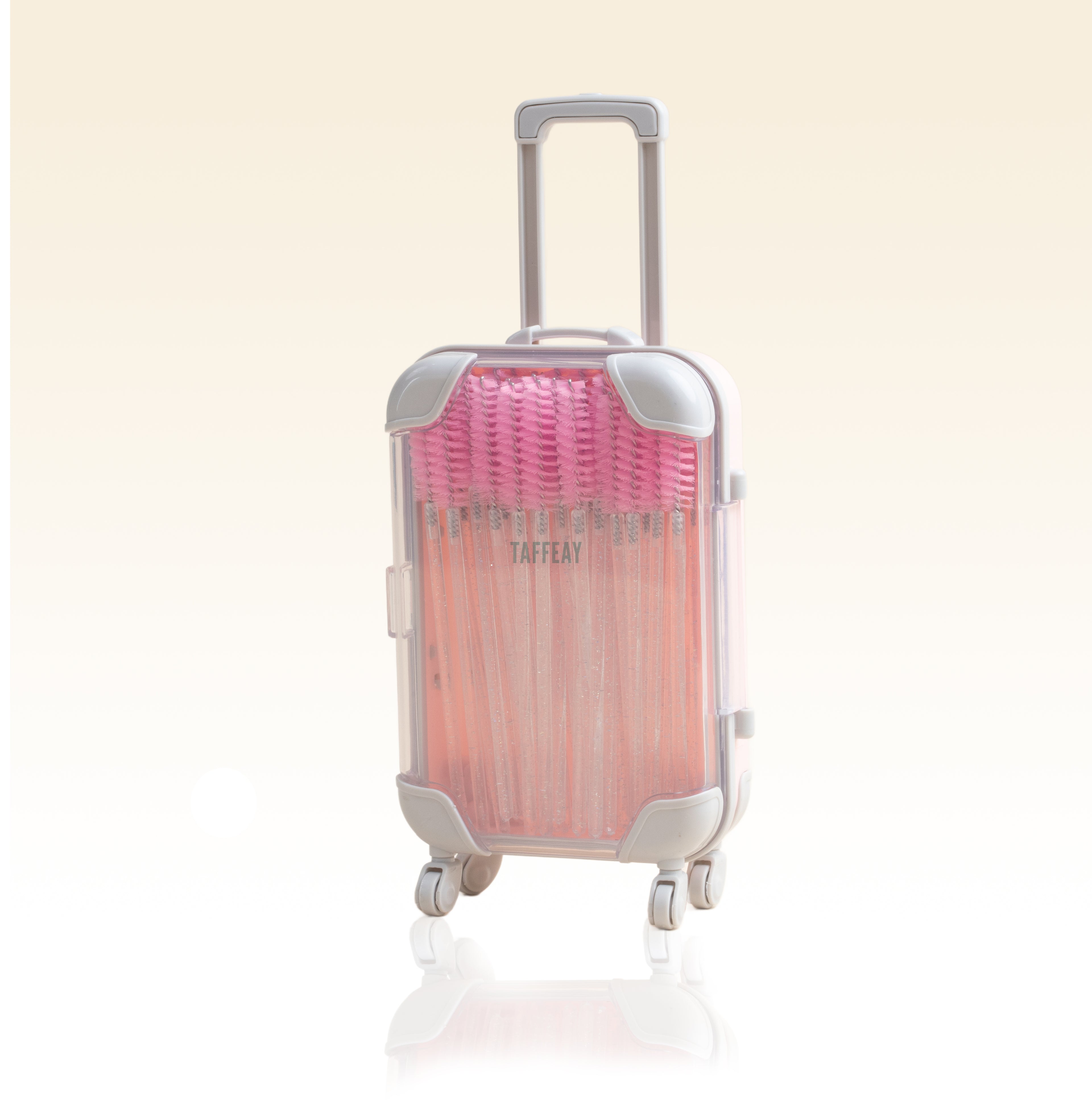 Taffeay Mini Eyelash Storage Case