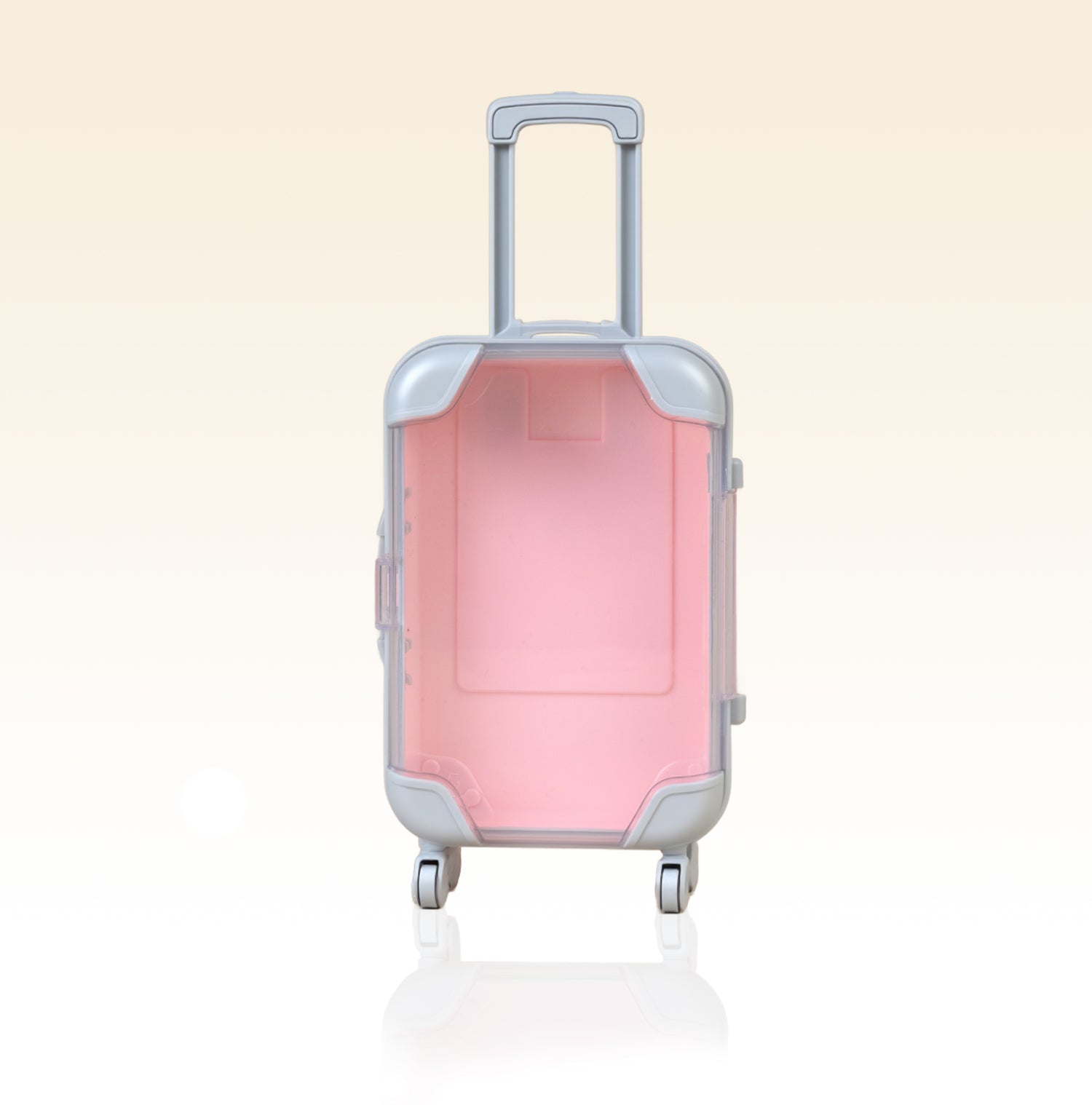 Taffeay Mini Eyelash Storage Case