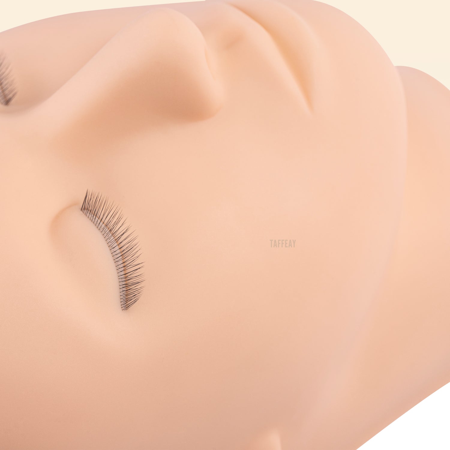 Mannequin Heads With Lash