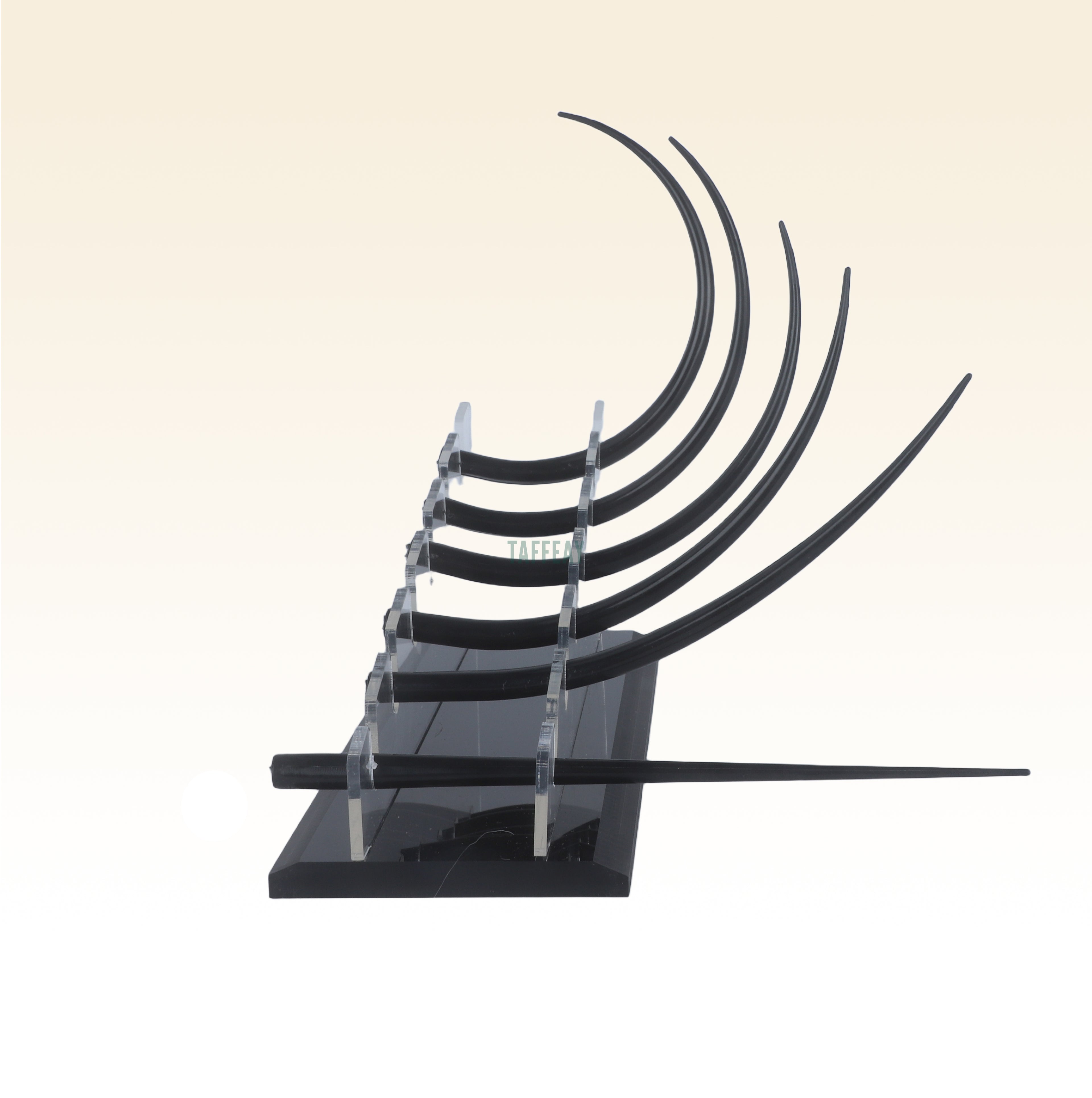 3D Lash Model