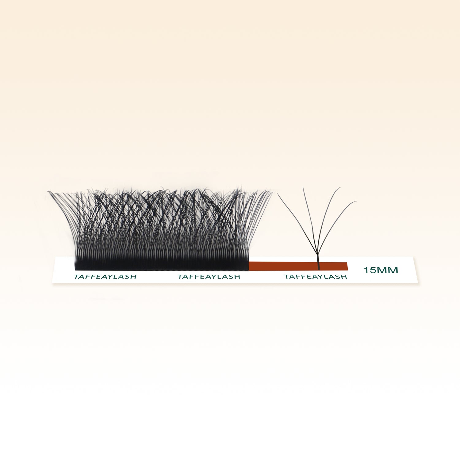 W-4D Shape Eyelash Extensions