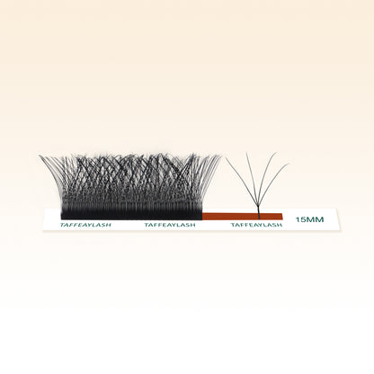 W-4D Shape Eyelash Extensions