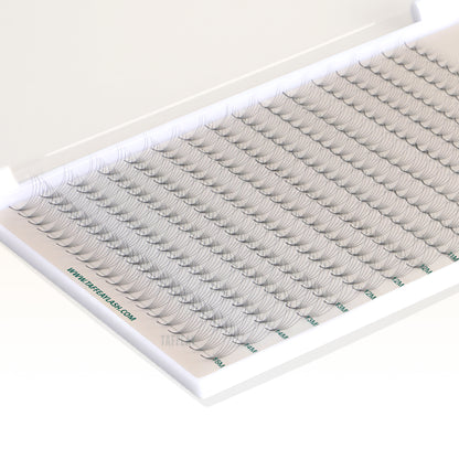 Taffeay 5D Premade Volume Pointy Base Lash Fans (320 fans)