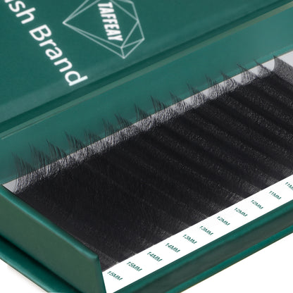 Taffeay W-5D Shape Eyelash Extensions